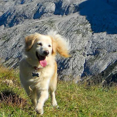 Garni Il Cirmolo